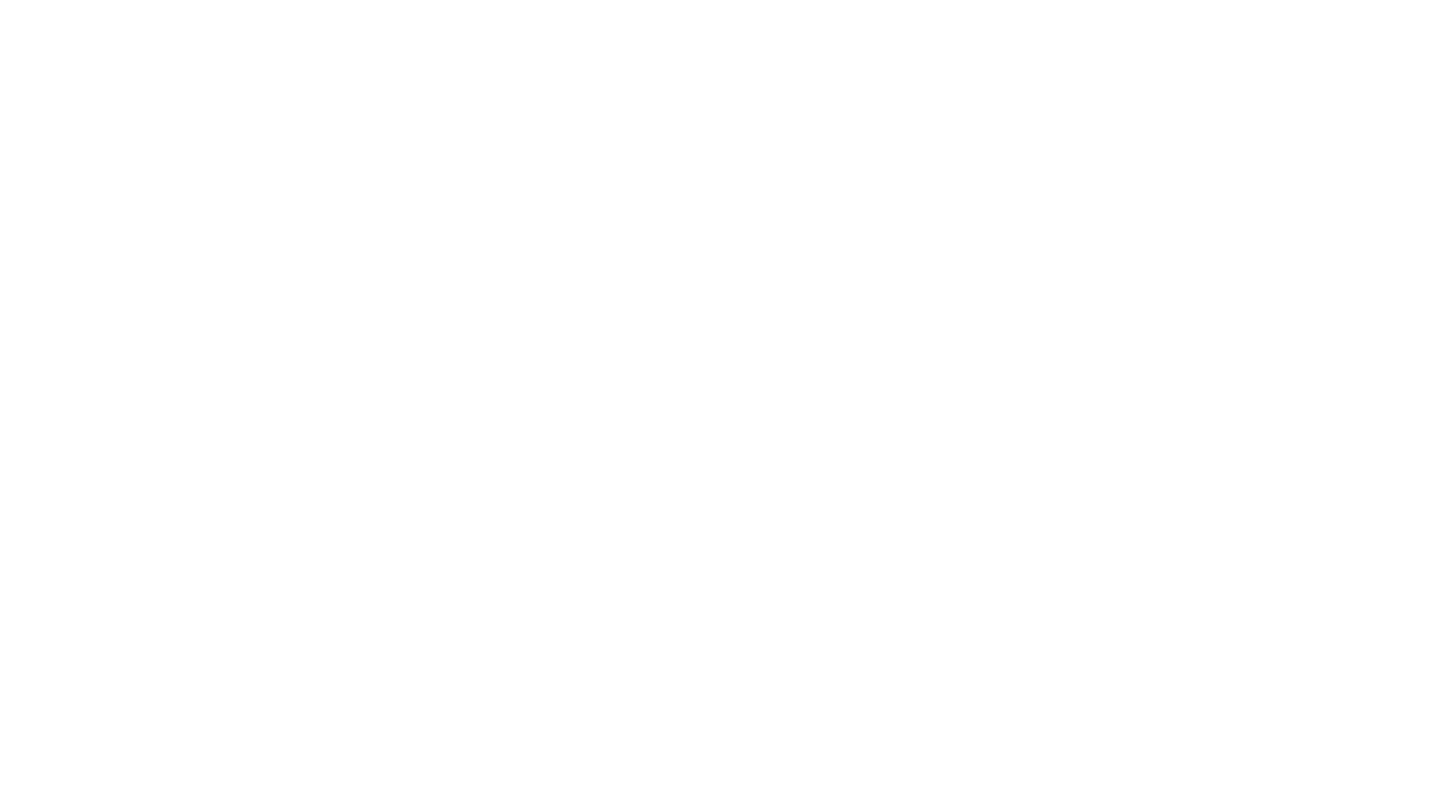 zoomi Management